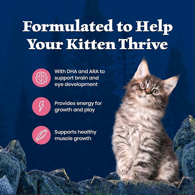 Blue Buffalo Wilderness High-Protein & Grain-Free Dry Food for Kittens, Natural Ingredients with DHA for Cognitive Development, Salmon Recipe, 5lb Bag