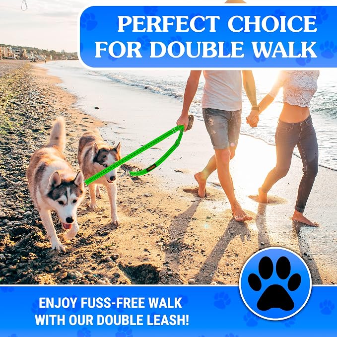 Dog Leash – Dual Reflective with Non-Tangle Design – Heavy Duty Nylon and Metal Buckles – Ideal (Green, 2 Dog Leash)
