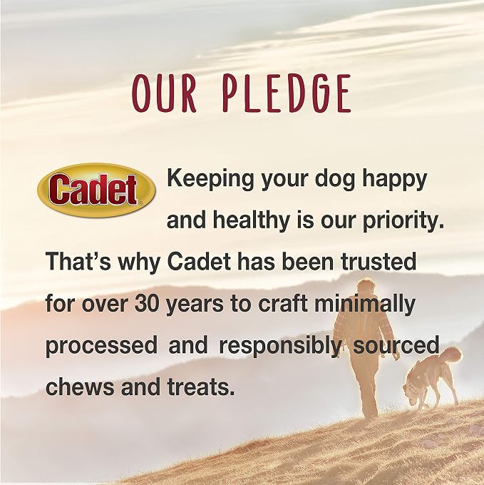 Cadet Junior Stuffed Shin Bones - Highly Digestible, High Protein, Long-Lasting Dog Chew Bone for Aggressive Chewers, Supports Dental Health, - Peanut Butter Flavor, Mini (2 Count)
