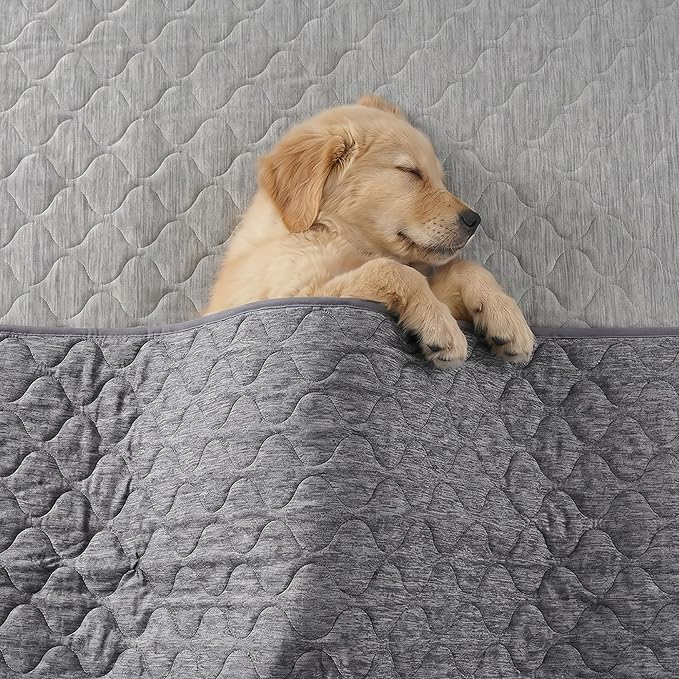 Cozy Bliss Deluxe Leakproof Cooling Blanket for Large Dogs Q-Max 0.5, Soft & Durable Washable Pet Cooling Mat for Hot Weather, Livingroom, Couch & Bed Protector for Cats, Charcoal Grey, 40"x60"