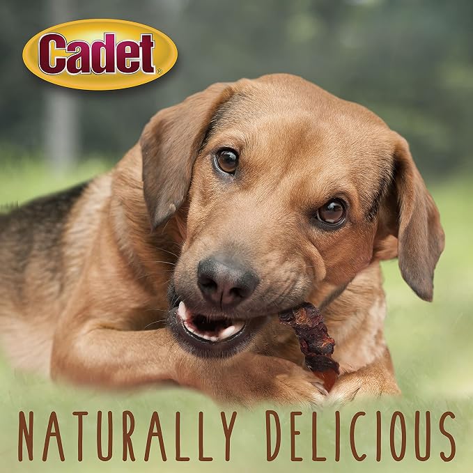 Cadet Gourmet Sweet Potato & Duck Dog Treats Wraps - Healthy & Natural Sweet Potato & Duck Dog Training Treats for Small & Large Breeds - Inspected & Tested in USA (14 oz.)