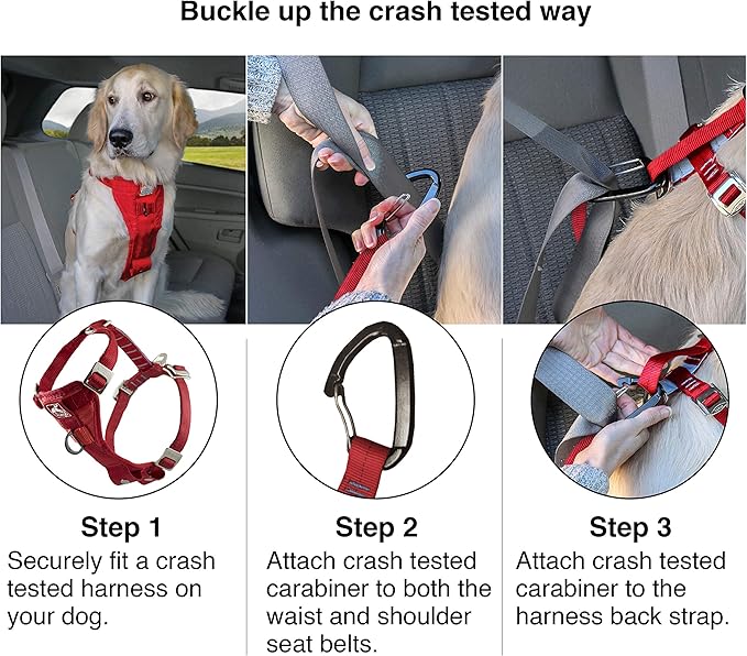 Kurgo Enhanced Strength Tru-Fit Dog Car Harness - Pet Travel Safety Harness - Crash Test Certified Fit - Five Point Adjustment - Secure Buckle - Padded Chest - Charcoal - X-Small