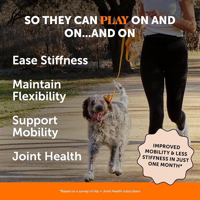 Hip + Joint Supplement for Dogs with Glucosamine Chondroitin - MSM, Turmeric & Collagen Soft Chews - Joint Function, Stiffness, and Mobility Support, May Reduce Occasional Discomfort (Chicken, 180 Ct)