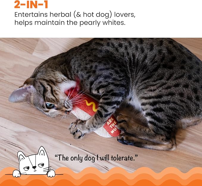 Catstages Hotdog Kicker Toy with Catnip and Dental Mesh, Hot Dog Shape, Plush and Feather Cat Toy for Kicking, Tossing, and Teeth Cleaning, Brown
