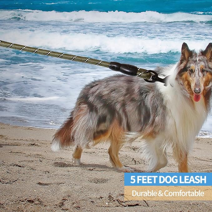 BAAPET 2/4/5/6 FT Dog Leash with Comfortable Padded Handle and Highly Reflective Threads for Small Medium and Large Dogs (5FT-1/2'', Olive Green)