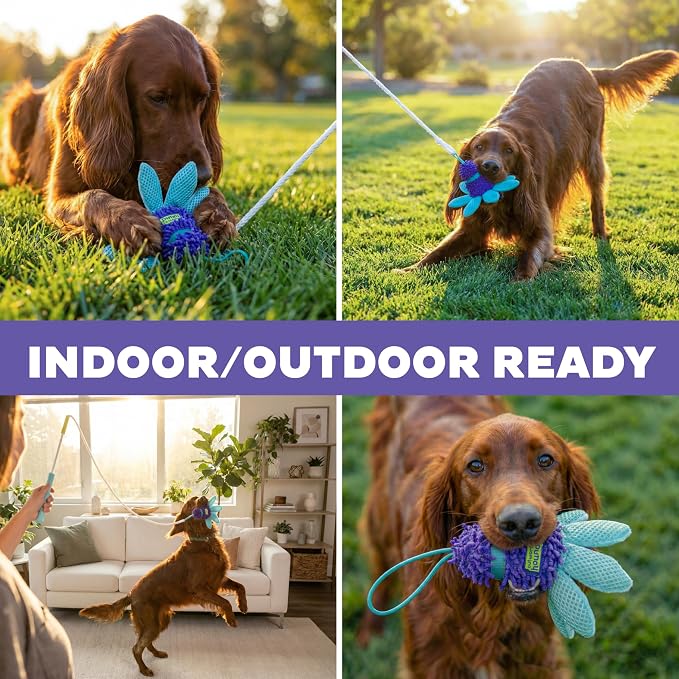 Outward Hound FlyFetch Teaser Wand Dog Toy with Crinkle Attachment, Durable for Indoor & Outdoor Play, All Breeds, 17.7"