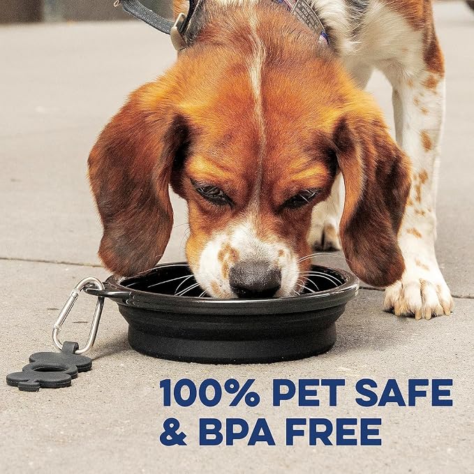 Bonza Collapsible Dog Bowls - Small 12 oz, Dog Travel Accessories, Silicone Portable Dogs Bowl & Water Dish with Reinforced Rim & Carabiner for Hiking, Camping, and Car Trips, Black