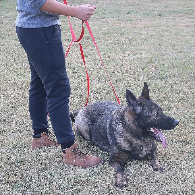 Dog/Puppy Obedience Recall Training Agility Lead - 15ft 20ft 30ft 50ft Training Leash - Great for Play, Camping, or Backyard - Pink 30ft