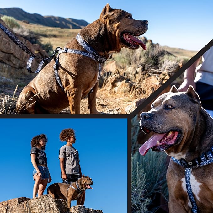 Wolfgang Heavy Duty Adjustable Dog Harness, Pull-Tested to Over 800 lbs for Walking & Training, WolfMountain Print, Medium