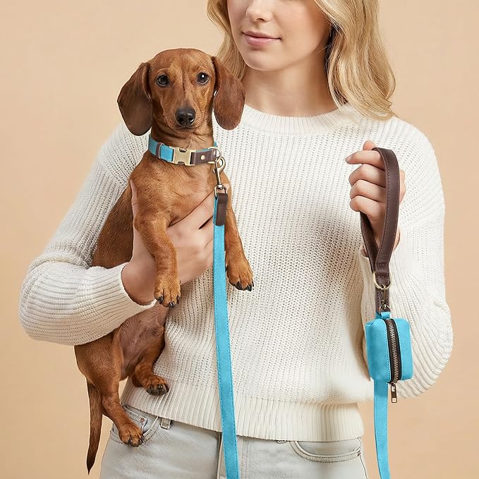 Didog Soft PU Leather Dog Collars for Small Dogs,Classic Adjustable Dog Collars with Quick Release Metal Buckle,Easy Clean and Comfortable with Nylon Lining,Light Blue,S Neck 11-15"