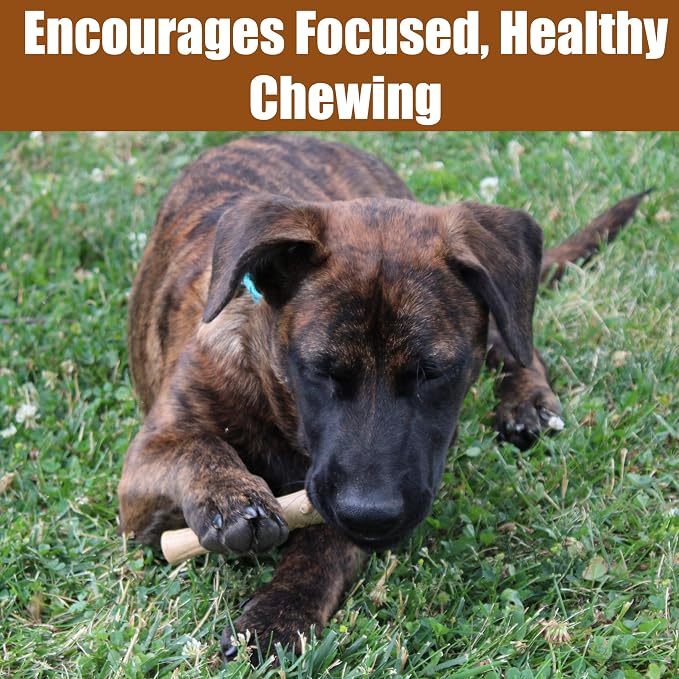 SPOT Bam-Bones Plus Bamboo Stick – Bamboo Fiber & Nylon, Durable Long Lasting Dog Chew for Aggressive Chewers – Great Toy for Adult Dogs & Puppies Under 60lbs, Non-Splintering, 5.25in, Chicken Flavor