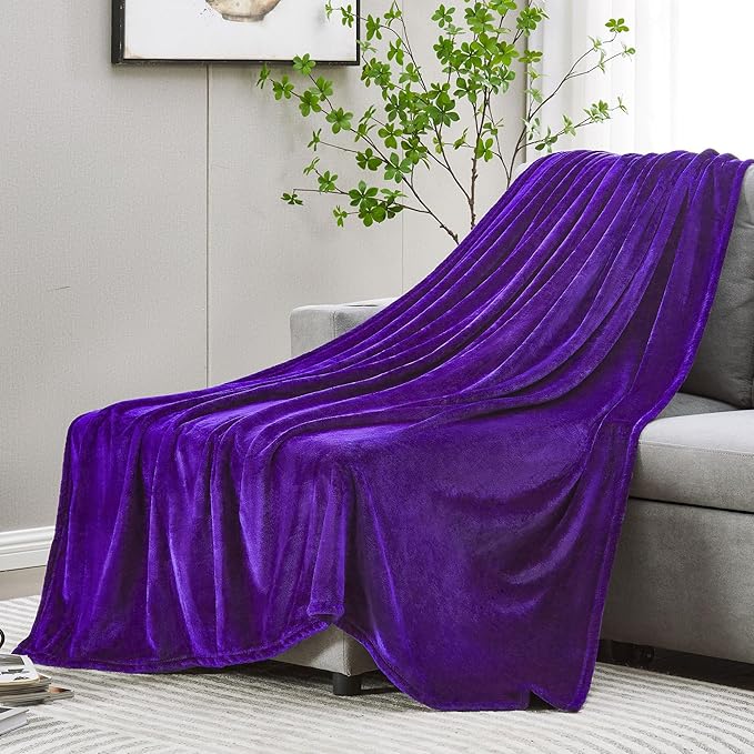 DREAMNINE Super Soft Fuzzy Fleece Throw Blanket for Couch Sofa 50" x 60",Decorative Solid Lightweight Velvet Blanket for Chair, Cozy Accent Shaggy Micro Plush Flannel Blankets for Bedroom Dorm, Purple
