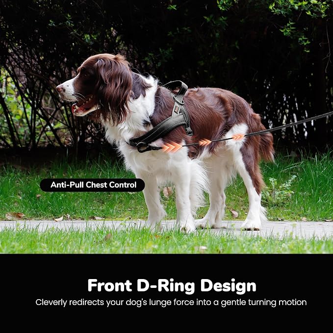 Didog No Pull Dog Harness with Breathable Mesh Padded,Reflective & Quick Fit Light Weight Dog Strap Vest Harness,Easy for Walking Training (L:Chest 26-32", Mesh-Black)