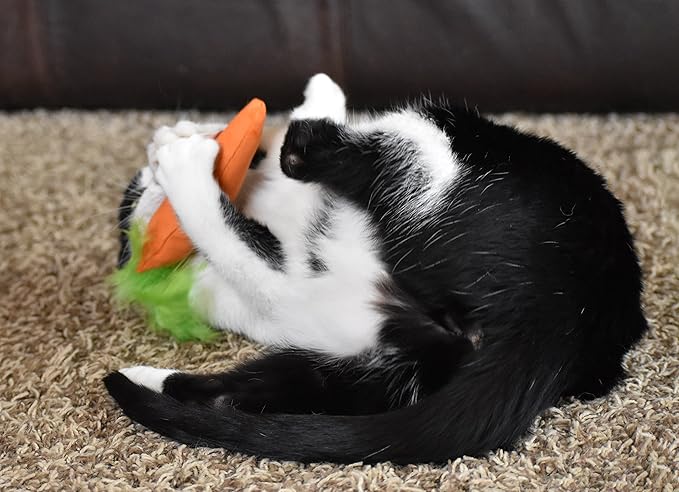 OurPet's 100-Percent North American Catnip Filled Carrot Cat Toy 24 Karat (Pack of 2)