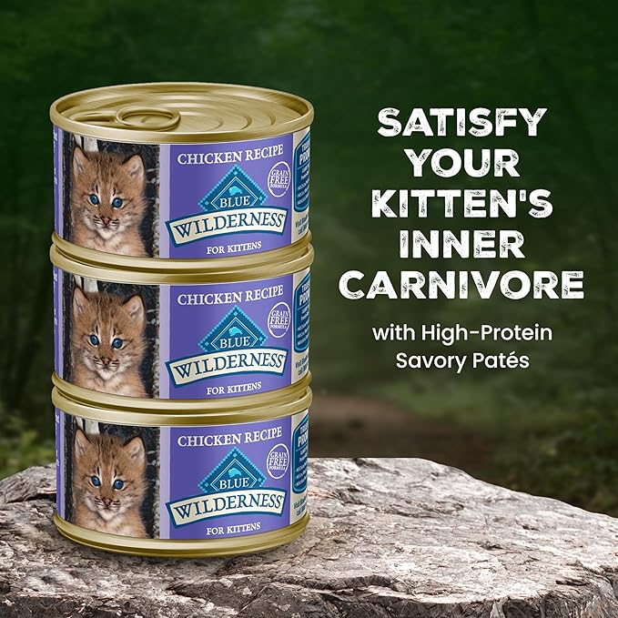 Blue Buffalo Wilderness Kitten Grain-Free Chicken Paté Wet Cat Food with DHA, High-Protein & Made with Natural Ingredients, Supports Healthy Growth & Development, 3-oz. Cans (24 Count)