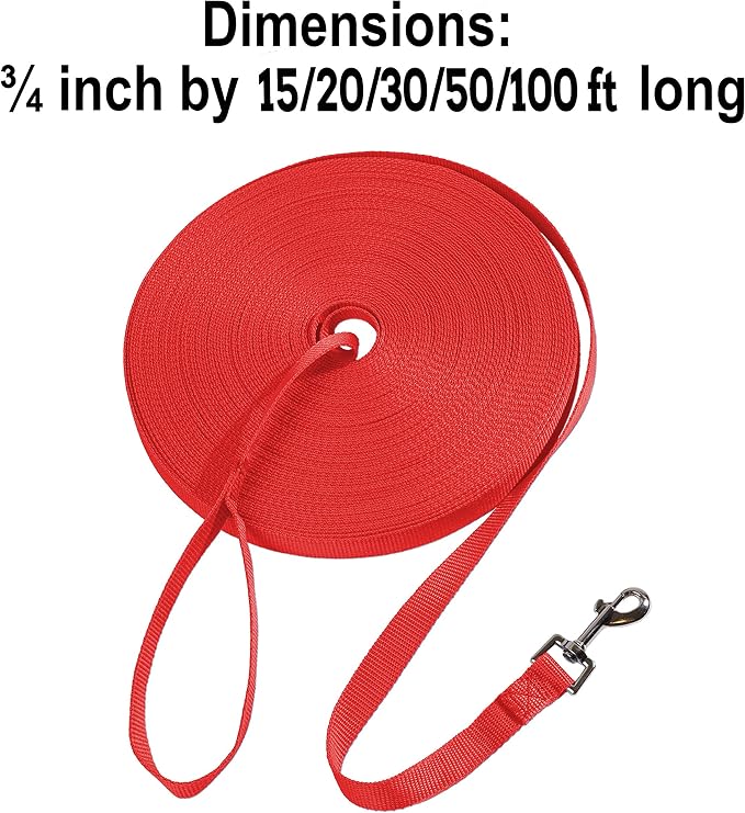Hi Kiss Dog/Puppy Obedience Recall Training Agility Lead - 15ft 20ft 30ft 50ft 100ft Training Leash - Great for Training, Play, Camping, or Backyard (50 Feet, Red)