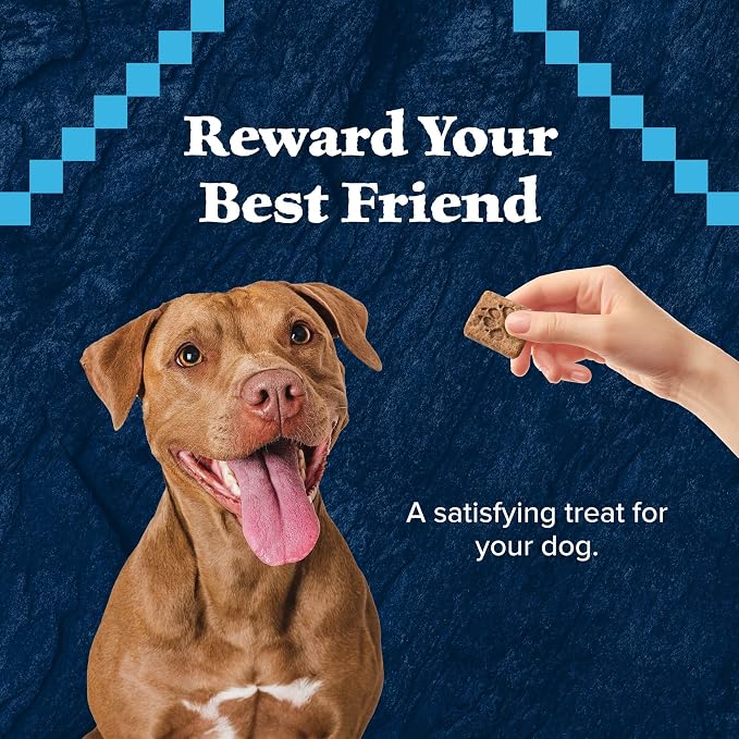Blue Buffalo Wilderness Trail Treats Salmon Crunchy Dog Biscuits, Grain-Free & High-Protein, Bite-Sized Training Treats Made with Real Salmon & Natural Ingredients, 24-oz Bag