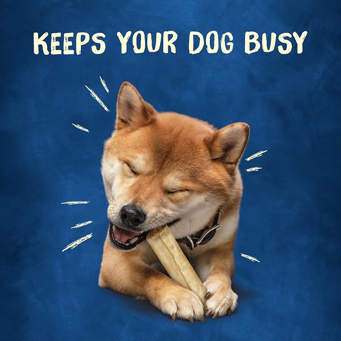 Purina Busy Rawhide Small/Medium Breed Dog Bones, Rollhide - (Pack of 12) 3 ct. Pouches