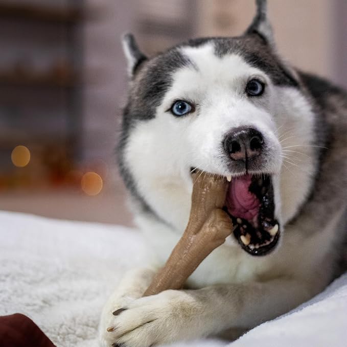 Nylabone Gourmet Style Stick Strong Chew Toy for Dogs, Peanut Butter Flavor, X-Large - 50+ lbs, 1 Count