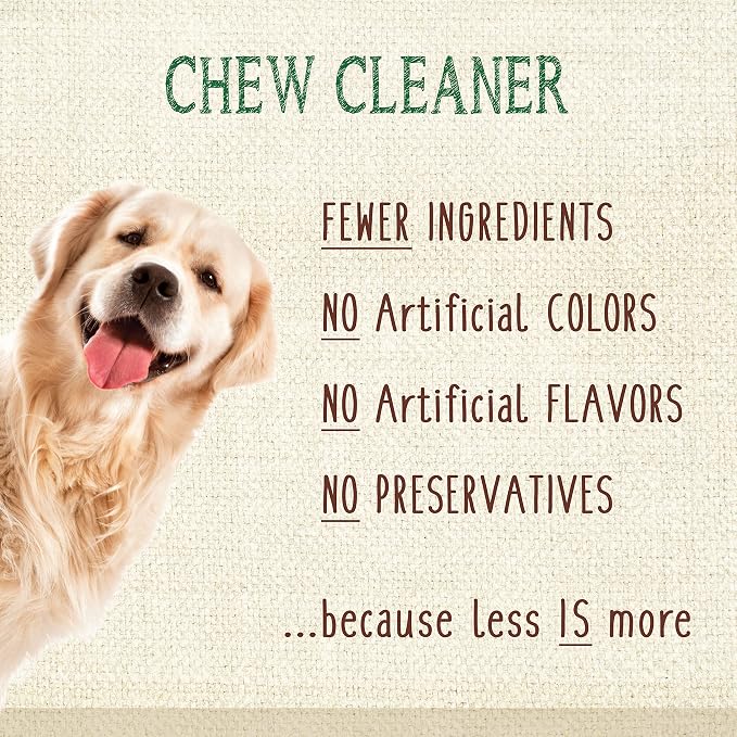 Nylabone Nutri Dent Dog Dental Chews - Natural Dog Teeth Cleaning & Breath Freshener - Dental Treats for Dogs - Filet Mignon Flavor, X-Large (1 Count)