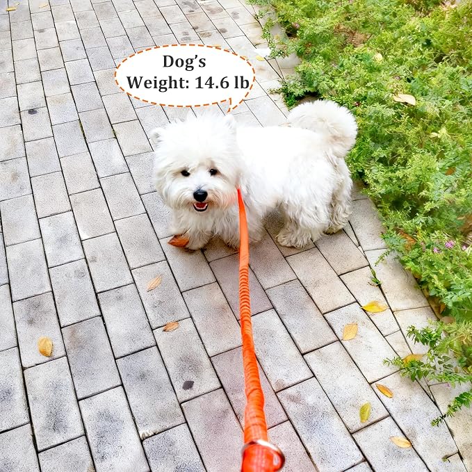 WYuZe 4 FT Bungee Dog Leash for Strong Small Dogs - Reflective, Shock Absorbing, Elastic Nylon Leash with Padded Handle for Safety Comfort No Pull Walking Training (Orange, 3/4"-Wide)