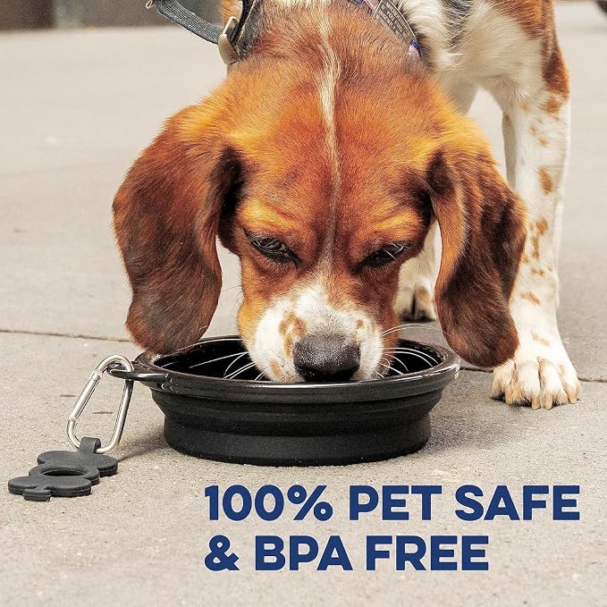 Bonza Collapsible Dog Bowls - 2 Pack, Small 12 oz, Dog Travel Accessories, Silicone Portable Dogs Bowl & Water Dish with Reinforced Rim & Carabiner for Hiking, Camping, and Car Trips, Black