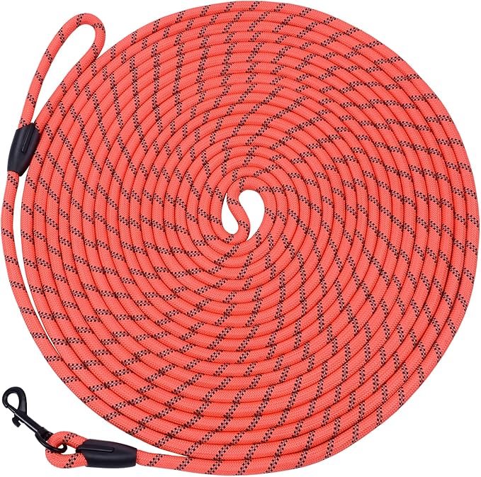 Long Dog Leash for Training 30Ft-Reflective Nylon Rope with Swivel Hook-Recall Agility Lead for Large Small Medium Dogs Outside Walking Hiking-Orange
