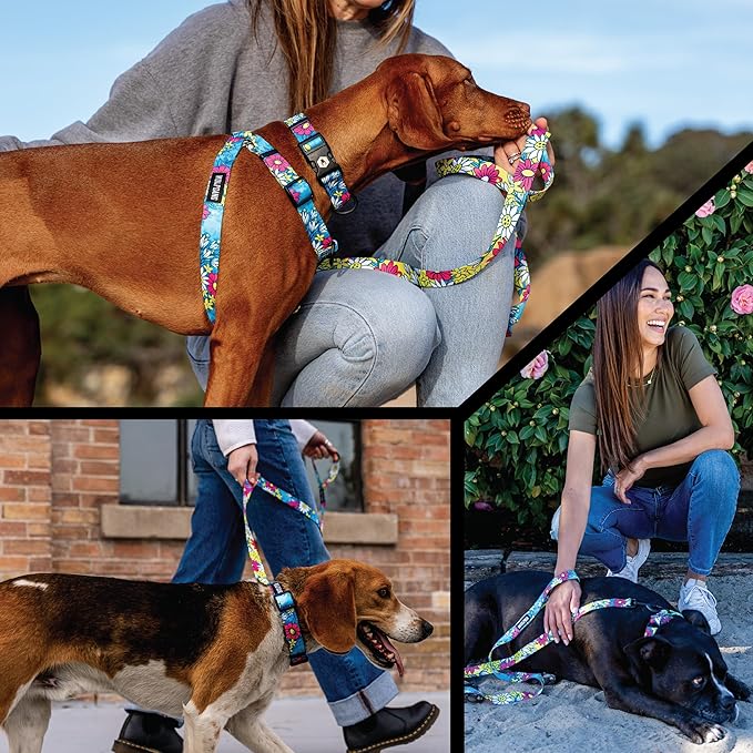 Wolfgang Heavy Duty, Adjustable Dog Collar with Quick Release Nylon Buckle for Walking & Training, LazyDaisy Print, Large
