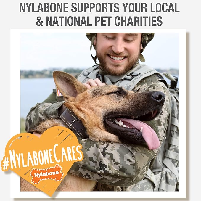 Nylabone Nubz Wild Natural Dog Chew Treats for Small Dogs, Long Lasting Dog Chew Bones Made in USA, Bison Flavor, Small Dog Bones for Dogs Up to 25 lbs. (12 Count)