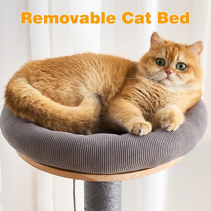 HITTITE Solid Wood Cat Tree Tower with Scratching Post, 61 Inches Tall Cat Towers with Capsule and Condo, Modern Cat Tower with Hammock and Removable Top Bed for Indoor Cats.Grey