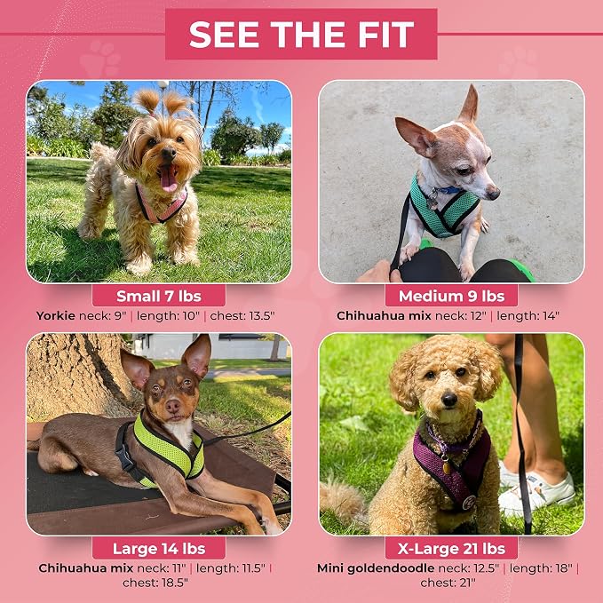Gooby Orange X-Large Comfort X Head in Harness - No Pull, Choke-Free, Lightweight Mesh, Machine Washable for Small to Medium Dogs