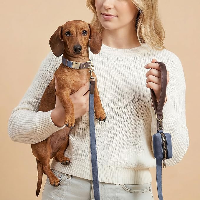 Didog Soft PU Leather Dog Collars for Small Dogs,Classic Adjustable Dog Collars with Quick Release Metal Buckle,Easy Clean and Comfortable with Nylon Lining,Blue,S Neck 11-15"