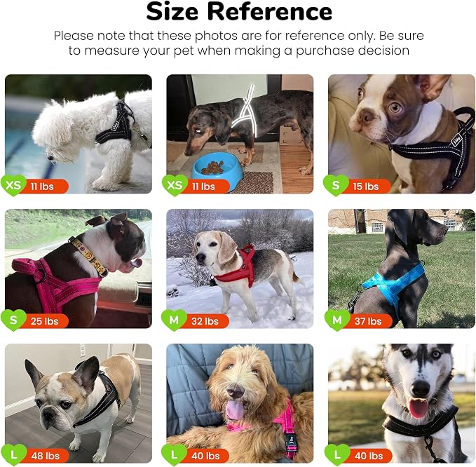 Didog No Pull Dog Harness with Breathable Mesh Padded, Full Reflective & Quick Fit Adjustable Vest Harness, Easy for Training Walking for Small & Medium and Large Dogs (Green, M:Chest 21-26")