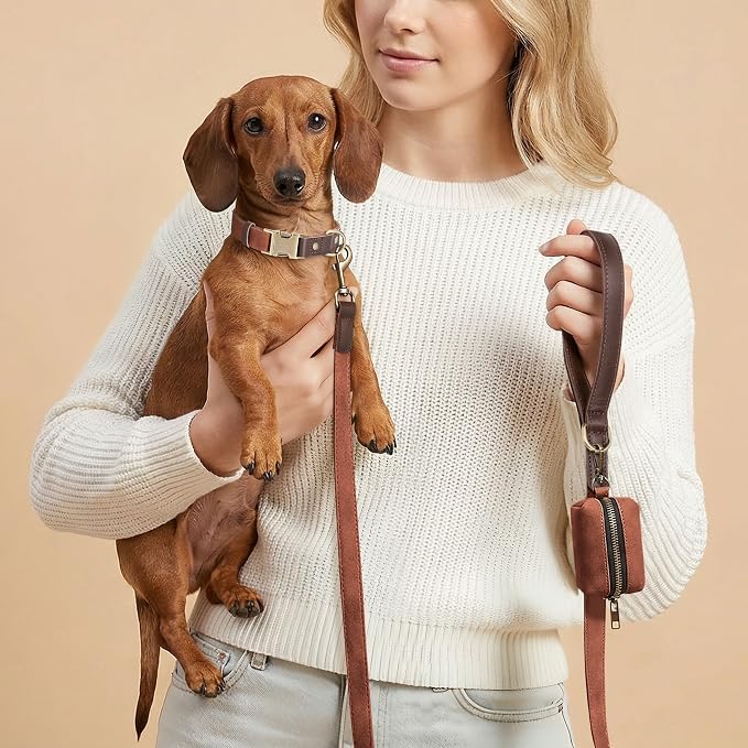 Didog Soft PU Leather Dog Collars for Small Dogs,Classic Adjustable Dog Collars with Quick Release Metal Buckle,Easy Clean and Comfortable with Nylon Lining,Reddish Brown,S Neck 11-15"