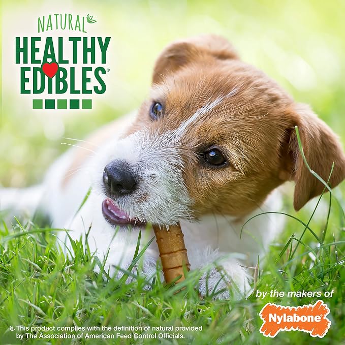 Nylabone Healthy Edibles Natural Dog Chews, Long Lasting Bones for Dogs, Turkey & Apple Flavor Dog Treats, Small (4 Count)