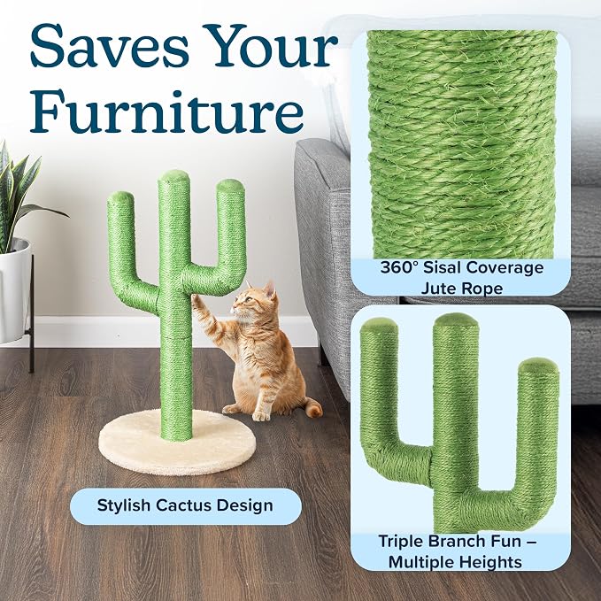 24” Tall Cat Scratching Post - Vertical Cactus Scratch Post for Indoor Cats - 360 Degree Jute Rope-Covered Kitten Scratcher with 3 Branches and Sturdy Base by PETMAKER (Green)