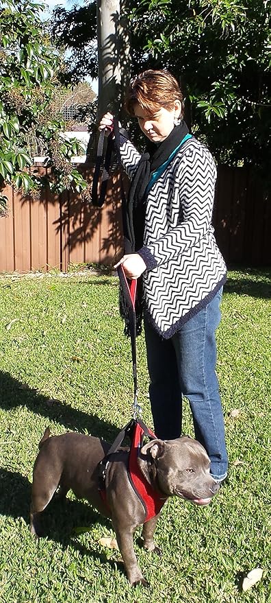 Primal Pet Gear Dog Leash 8ft Long - Black - Traffic Padded Two Handle - Heavy Duty - Double Handles Lead for Control Safety Training - Leashes for Large Dogs or Medium Dogs - Dual Handles Leads