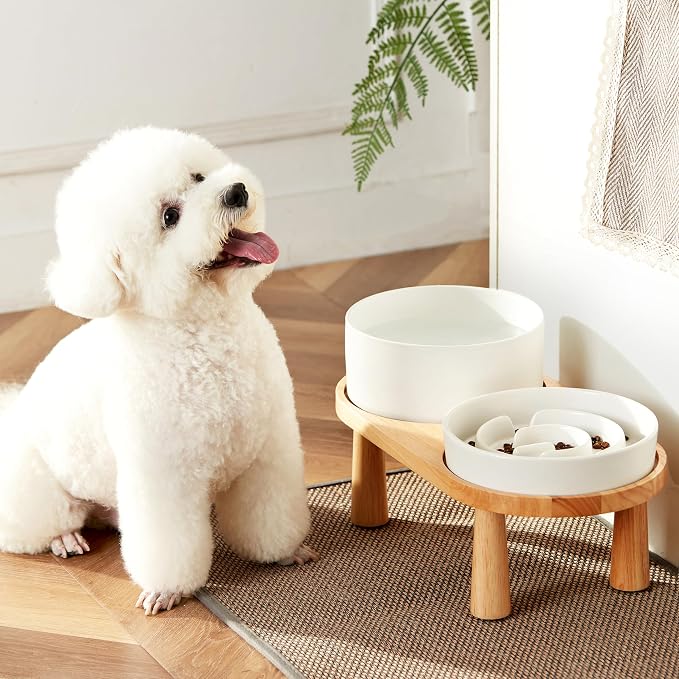 Ceramic Slow Feeder and Water Bowl Set for Medium and Large Dogs, 8.0 Inches Ceramic Dog Bowls Elevated with Wooden Stand, 2.0 Cups Dog Slow Feeder(30oz) and 70oz Water Bowl Set, White