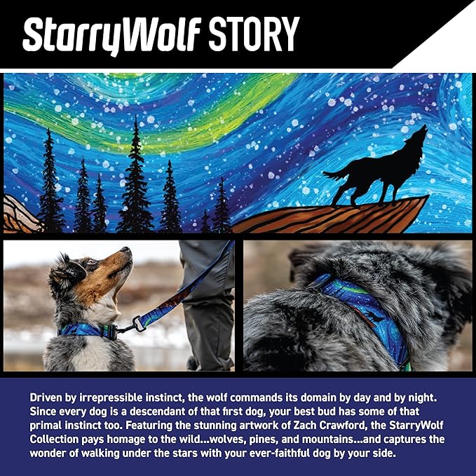 Wolfgang Heavy Duty, Adjustable Dog Collar with Quick Release Nylon Buckle for Walking & Training, StarryWolf Print, Medium