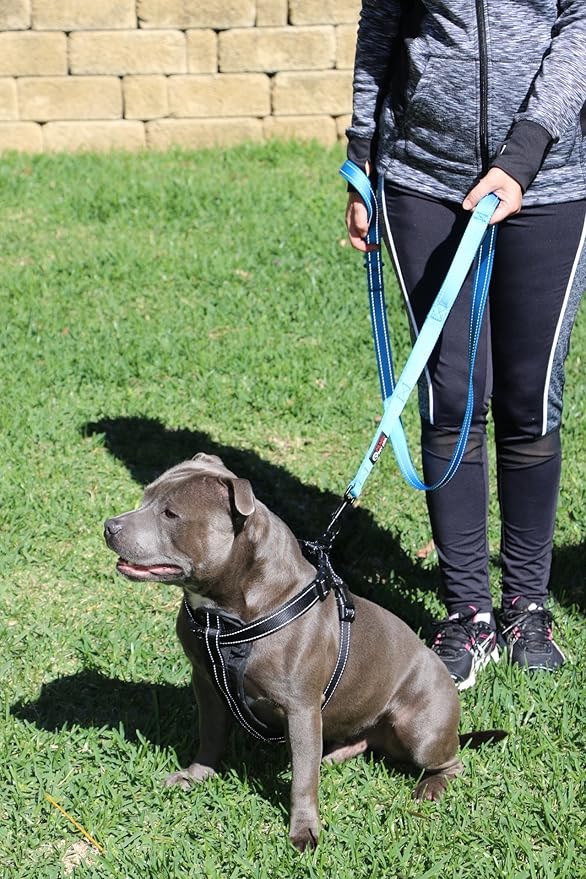 Primal Pet Gear Dog Leash 8ft Long - Blue - Traffic Padded Two Handle - Heavy Duty - Double Handles Lead for Control Safety Training - Leashes for Large Dogs or Medium Dogs - Dual Handles Leads