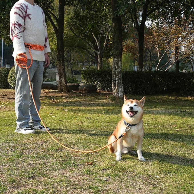 ZALER Long Dog Leash, 50 feet 30ft 20ft 15ft 10ft Dog Training Lead, Heavy Duty Check Cord Recall Leash for Dogs Training, Playing, Camping, or Backyard (20FT, Blue Green)