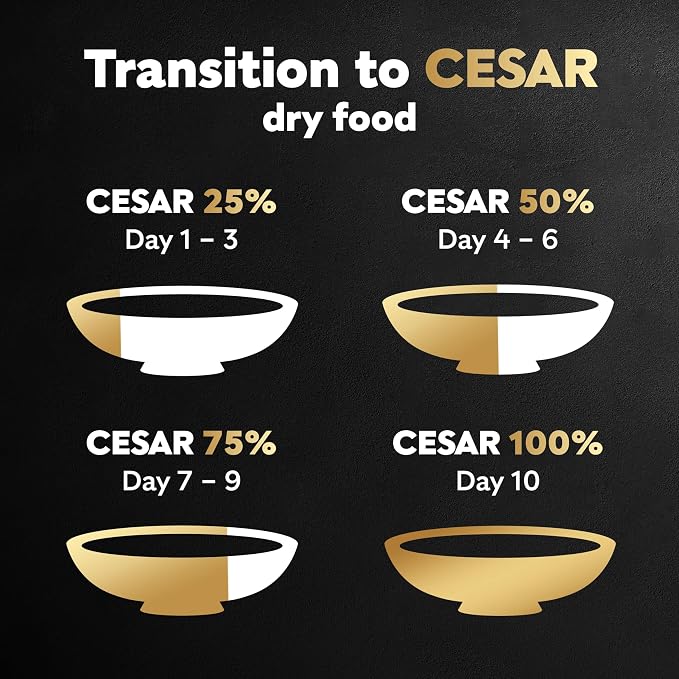 Cesar Small Breed Dry Dog Food for Small Dogs, Filet Mignon Flavor and Spring Vegetables Garnish, 5 lb Bag
