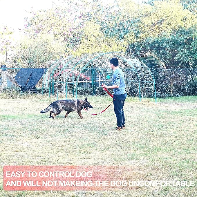 Dog/Puppy Obedience Recall Training Agility Lead - 15ft 20ft 30ft 50ft Training Leash - Great for Play, Camping, or Backyard - Pink 30ft