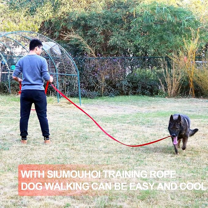 Dog/Puppy Obedience Recall Training Agility Lead - 20ft Long Training Leash，3/4in Wide - Great for Play, Camping, or Backyard - 20Ft Brown