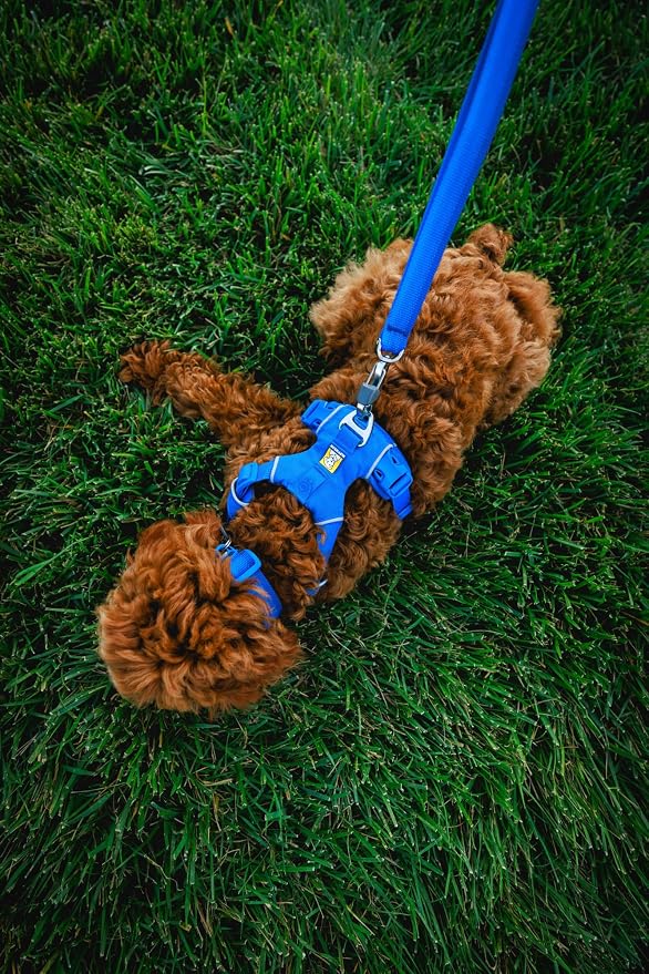 Ruffwear, Front Range Dog Collar, Adjustable Tubelok Webbing, Lightweight, Side Release Buckle, Aluminum V-Ring, Durable for Everyday Use, Red Canyon, 20"-26"