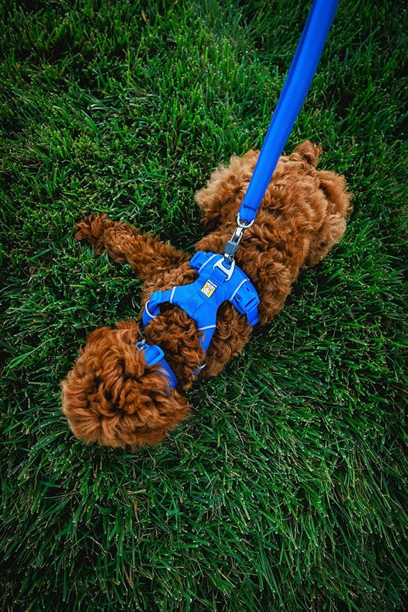 Ruffwear, Front Range Dog Collar, Adjustable Tubelok Webbing, Lightweight, Side Release Buckle, Aluminum V-Ring, Durable for Everyday Use, Red Canyon, 14"-20"
