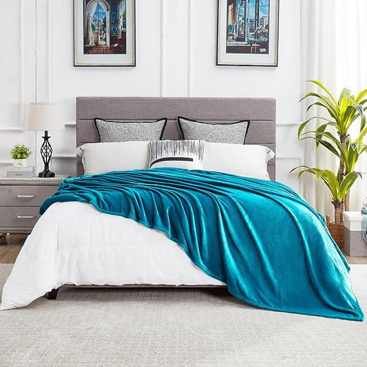 DREAMNINE Large Soft Fuzzy Flannel Fleece Throw Blanket for Couch Sofa 60" x 80", Decorative Solid Lightweight Velvet Bed Blanket, Luxury Cozy Shag Plush Microfiber Blankets for Bedroom,Twin Size,Teal