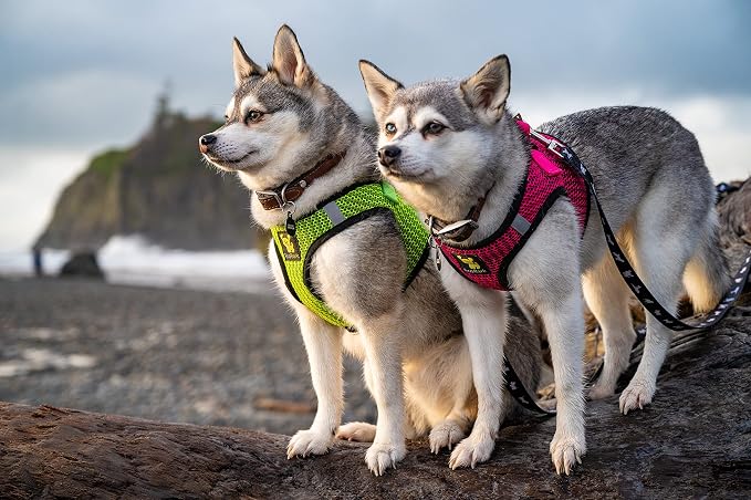 EcoBark Step in Dog Harness - Eco-Friendly Dog Harnesses for for Small & Medium Breed Dogs - Reflective and Adjustable Chest Body Halter Vest -Soft Luxurious Mesh (Neon Green, XL)