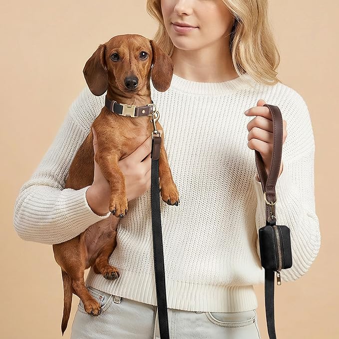 Didog Soft PU Leather Dog Collars for Small Dogs,Classic Adjustable Dog Collars with Quick Release Metal Buckle,Easy Clean and Comfortable with Nylon Lining,Black,S Neck 11-15"