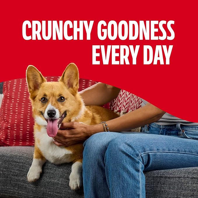 Milk-Bone Flavor Snacks Small Dog Biscuits, Flavored Crunchy Dog Treats, 24 Oz. Box (Pack of 2)